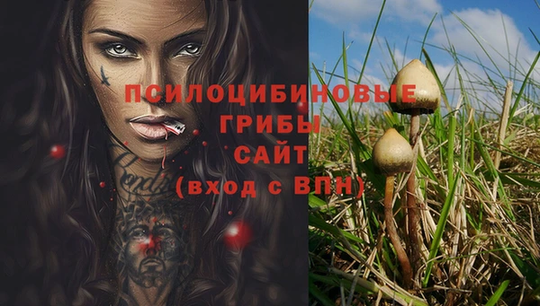 трава Беломорск