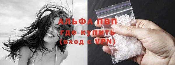 трава Беломорск